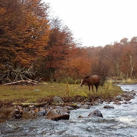 Bosque Holistico Del Fin Del Mundo Hotel Ushuaia Szoba fotó