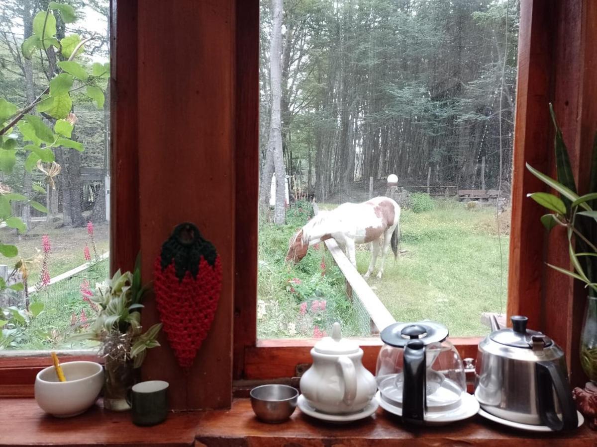 Bosque Holistico Del Fin Del Mundo Hotel Ushuaia Kültér fotó
